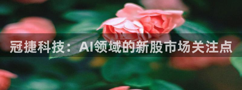 冠捷科技：AI领域的新股市场关注点