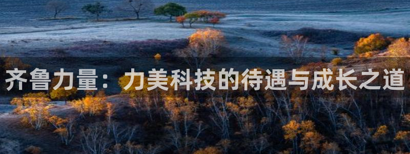 齐鲁力量：力美科技的待遇与成长之道