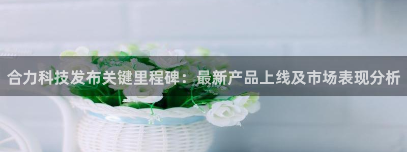 合力科技发布关键里程碑：最新产品上线及市场表现分析