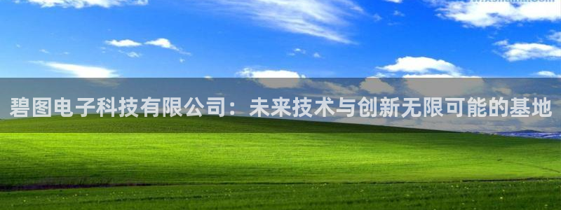 碧图电子科技有限公司：未来技术与创新无限可能的基地