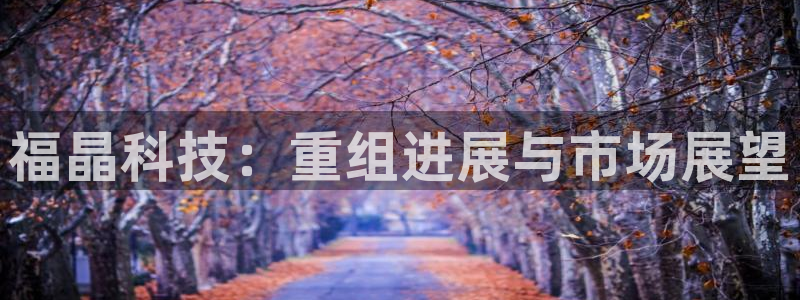 福晶科技：重组进展与市场展望