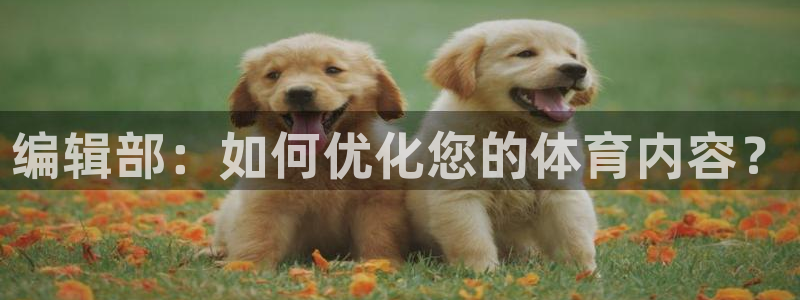 编辑部：如何优化您的体育内容？
