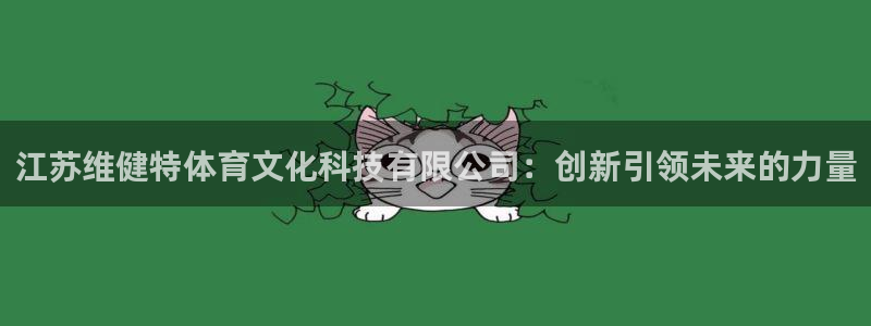 江苏维健特体育文化科技有限公司：创新引领未来的力量