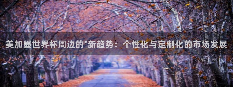 美加墨世界杯周边的\